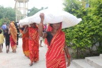 FAO Nepal Empowers Flood-Affected Women Farmers with Climate-Resilient Rice Production
