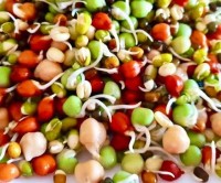 Kwati: A Cultural, Nutritional, and Seasonal Delight of Janai Purnima