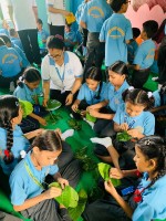 Nepal’s Leaf Plate Tradition Fades Amid Plastic Surge, but Revival Efforts Offer Hope