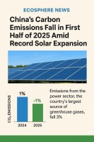China’s Carbon Emissions Fall in First Half of 2025 Amid Record Solar Expansion