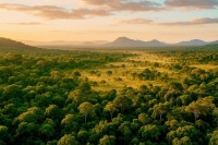 Brazil Positions Itself as the World’s First “Nature Superpower” Amid Global Push for Resilience