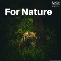 Nature in Crisis, Collective Action Emerging as a Global Hope: UNEP Highlights Real-World Solutions