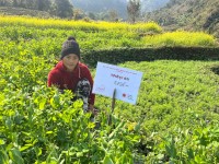 LEAF Project Helps Smallholder Farmers Turn Barren Land into Sustainable Livelihoods in Nawalparasi