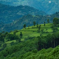 Community Forestry Success in Nepal Gains Global Attention on World Forest Day