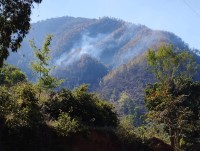 Recurring Forest Fires Raise Environmental Concerns in Galchhi Rural Municipality