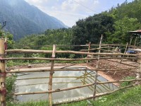 Green Karnali Project Strengthens Sustainable Agriculture and Livelihoods in Dailekh and Achham