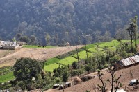 Nepal's Agriculture, Forestry and Environment Sectors Face Persistent Challenges While Offering Strong Opportunities for Sustainable Growth