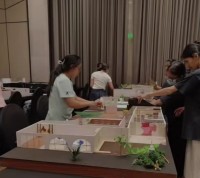 IEC Interio Schema XIV 2025: A Showcase of Innovation and Creativity in Interior Design