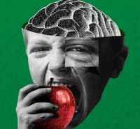 Wholegrains, Fruits and Nuts: How a Fibre-Rich Diet is Powering Both Body and Brain