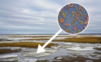 Thawing Permafrost Emerges as a Growing Climate Concern for the Planet