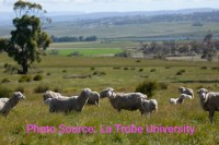 New Scientific Method Enables Farms to Measure True Environmental Sustainability