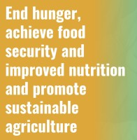 Global Hunger Declines for Third Consecutive Year, but Climate and Trade Risks Threaten Progress: UN Report