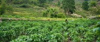 Nepal Poised to Lead as a Global Role Model in Green Economy