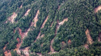 Global Environmental Pulse: Growth, Governance and Grassroots Action Shape the Planet’s Future