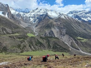 Residents of Chekampar Begin Yarsagumba Collection Season in Gorkha Highlands