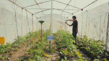 Norway's National Day: A Celebration of Partnership for Nepal’s Sustainable Future