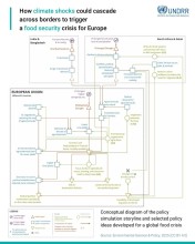 Climate Shocks Pose Global Food Security Risks for Europe, Warns UN Report