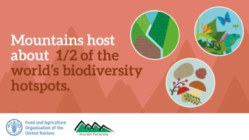 Safeguarding Mountain Ecosystems: A Call for Restoration Amid Mounting Challenges