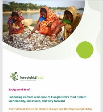 New Policy Brief Highlights Climate Resilience Strategies for Bangladesh’s Food System