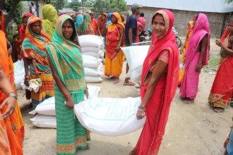 FAO Nepal Empowers Flood-Affected Women Farmers with Climate-Resilient Rice Production