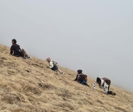Yarsagumba Harvest Season Commences in Dolpa Amidst Challenges
