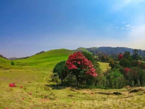 Mundum Trail Being Developed as a ‘Land of Meditation’