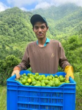 Nepali Lemon Farmers Struggle as Imported Produce Dominates Market