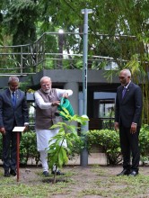 India and Maldives Deepen Green Ties as Modi and Muizzu Plant Saplings in Malé