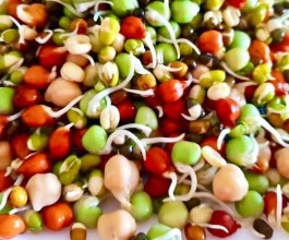 Kwati: A Cultural, Nutritional, and Seasonal Delight of Janai Purnima