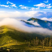 Six Global Protected Areas Recognised on IUCN Green List for Conservation Excellence