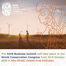 High-Level Business Summit to Drive Nature-Positive Action at IUCN World Conservation Congress 2025
