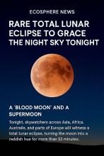Rare Total Lunar Eclipse to Grace the Night Sky Tonight