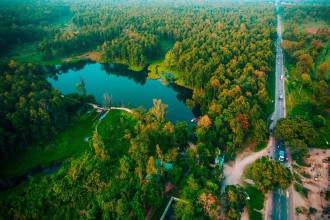 Global Environmental Update: A World at the Crossroads of Crisis and Conservation