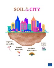Cities Are Built on Soil: Why World Soil Day 2025 Highlights Urban Ground Beneath Our Feet