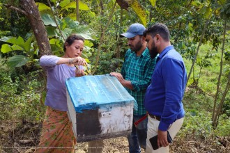 ‘Busy Like Bees’ Initiative Uses Nature-Based Solutions to Reduce Human–Elephant Conflict in Bangladesh’s Cox’s Bazar–Teknaf Peninsula