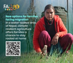 Climate-Smart Farming Offers New Hope for Families Facing Migration in Nepal’s Highlands