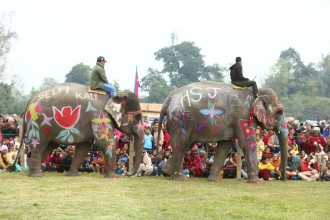Chitwan Elephant and Tourism Festival Emerges as a Cultural and Conservation Icon of Sauraha
