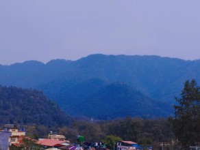 Green Spaces Emerging as a Critical Pillar for Sustainable Urban Development