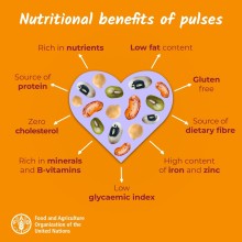 World Pulses Day 2026: Small Foods, Big Impact on Health and Sustainability