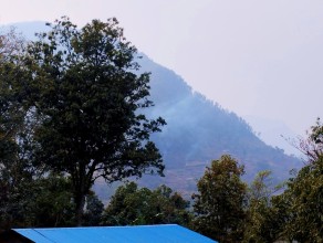 Forest Fires Intensify Across Nepal as Dry Season Raises Environmental Concerns