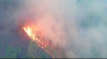 Wildfires Continue to Threaten Forest Ecosystems in Jumla
