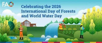 Forests, Water and Equality Take Center Stage at Global FAO Event