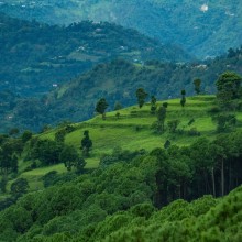 Community Forestry Success in Nepal Gains Global Attention on World Forest Day
