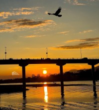 Golden Sunset Over Narayani Reflects Chitwan’s Natural Beauty and Growing Environmental Significance