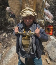 Aging Shoulders Carrying the Mountains: A Porter’s Struggle from Solukhumbu