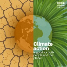 Climate Stability Crucial for Biodiversity as UNEP Calls for Urgent Global Action