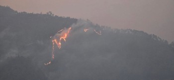 Rising Forest Fires and Pollution Concerns Mark Earth Day 2026