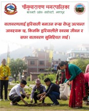 Mayor Calls for Tree Plantation to Secure Future Environment in Changunarayan