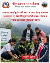 Mayor Calls for Tree Plantation to Secure Future Environment in Changunarayan
