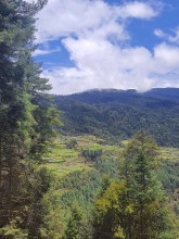 Ringmo Village Showcases the Natural Beauty of Solukhumbu
